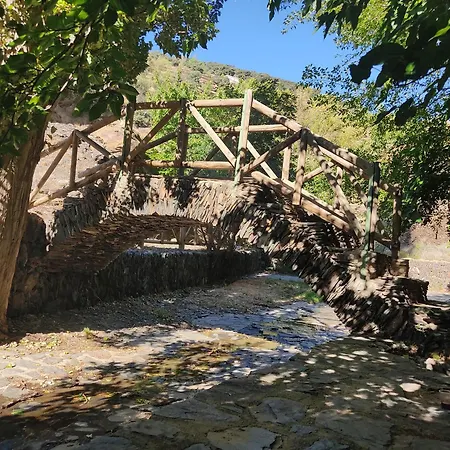La Castana Y La Uva Ohanes