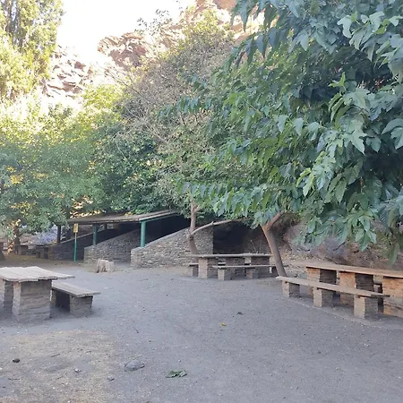 La Castana Y La Uva *